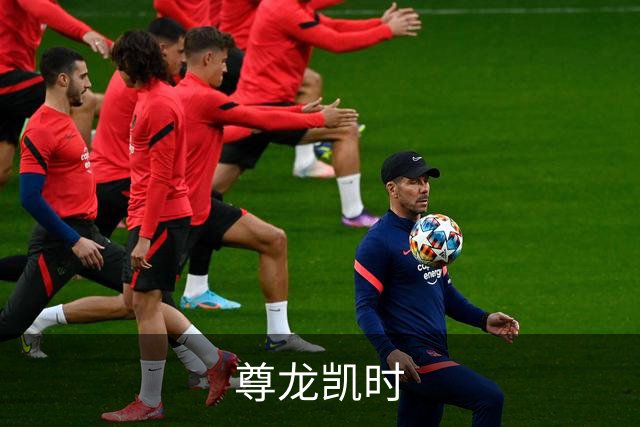 尊龙凯时公司介绍图